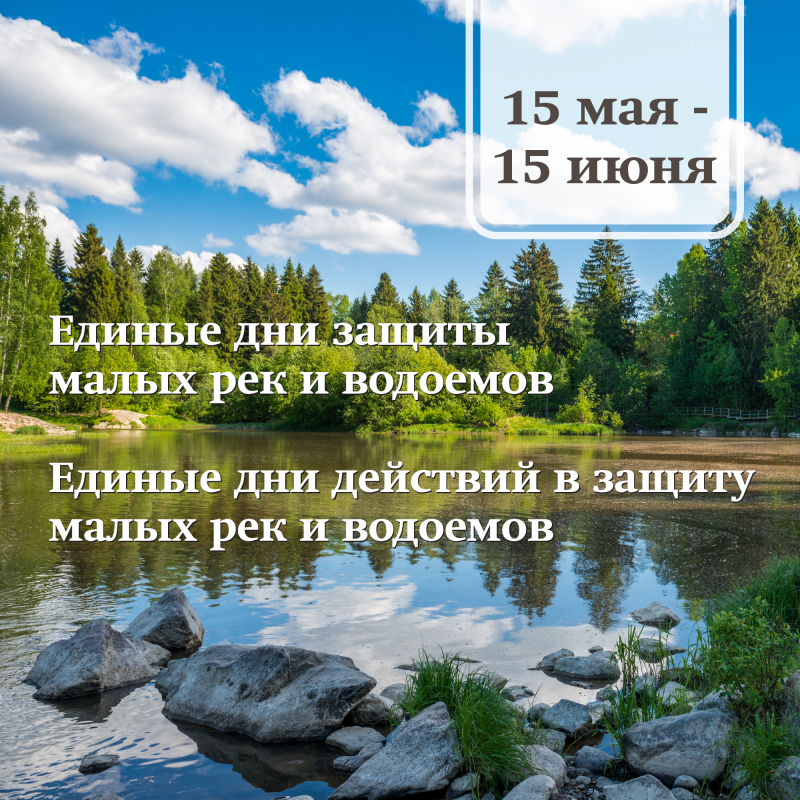 15 Мая – 15 июня - единые дни действий в защиту малых рек и водоемов. День защиты малых рек и водоемов. Единый день защиты малых рек и. Международный день защиты рек.